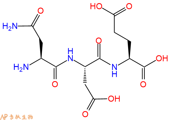 专肽生物产品三肽Asn-Asp-Glu