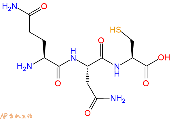 专肽生物产品三肽Gln-Asn-Cys