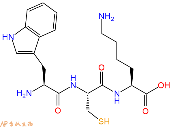 专肽生物产品三肽Trp-Cys-Lys