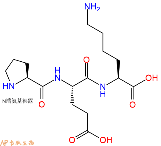 专肽生物产品三肽Pro-Glu-Lys