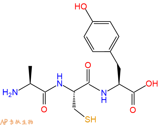 专肽生物产品三肽Ala-Cys-Tyr