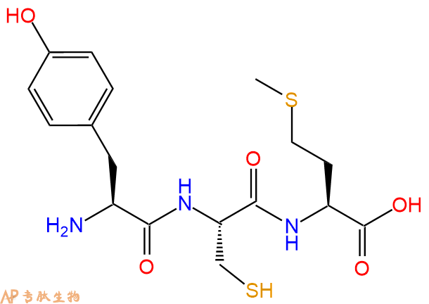 专肽生物产品三肽Tyr-Cys-Met