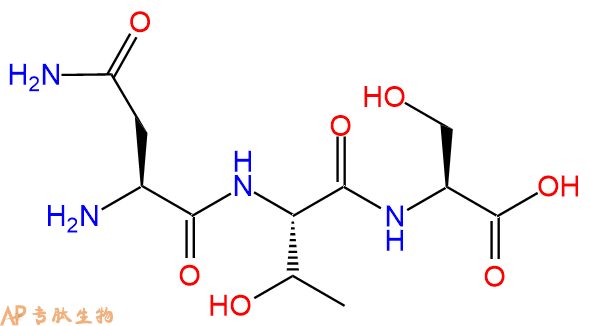 专肽生物产品三肽Asn-Thr-Ser