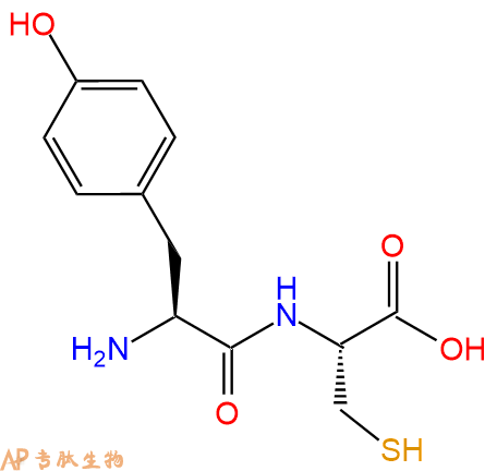 专肽生物产品二肽Tyr-Cys