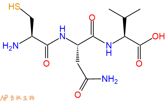 专肽生物产品三肽Cys-Asn-Val