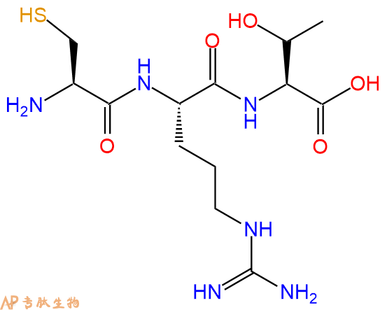 专肽生物产品三肽Cys-Arg-Thr