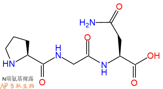专肽生物产品三肽Pro-Gly-Asn