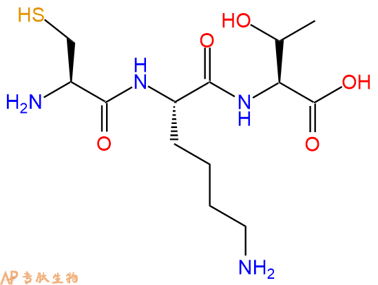 专肽生物产品三肽Cys-Lys-Thr