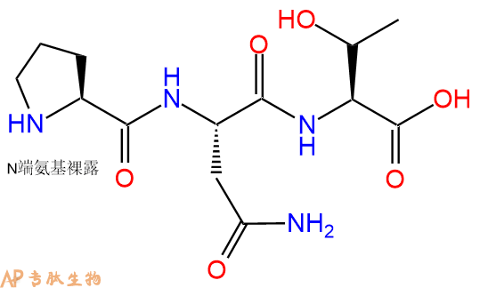 专肽生物产品三肽Pro-Asn-Thr