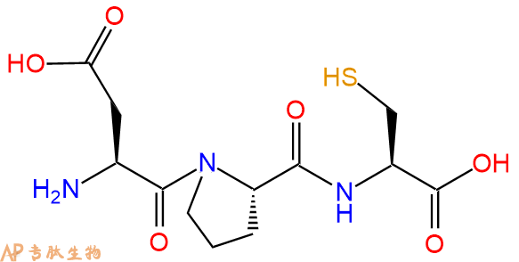 专肽生物产品三肽Asp-Pro-Cys