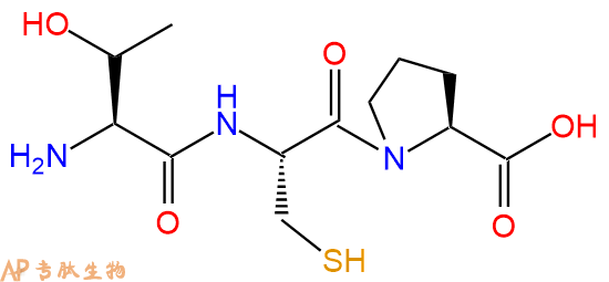 专肽生物产品三肽Thr-Cys-Pro