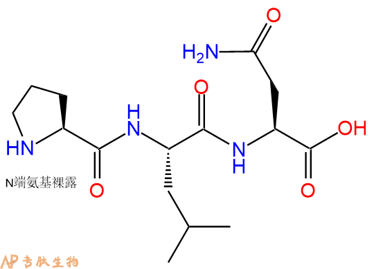 专肽生物产品三肽Pro-Leu-Asn