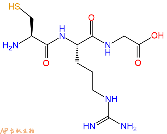 专肽生物产品三肽Cys-Arg-Gly