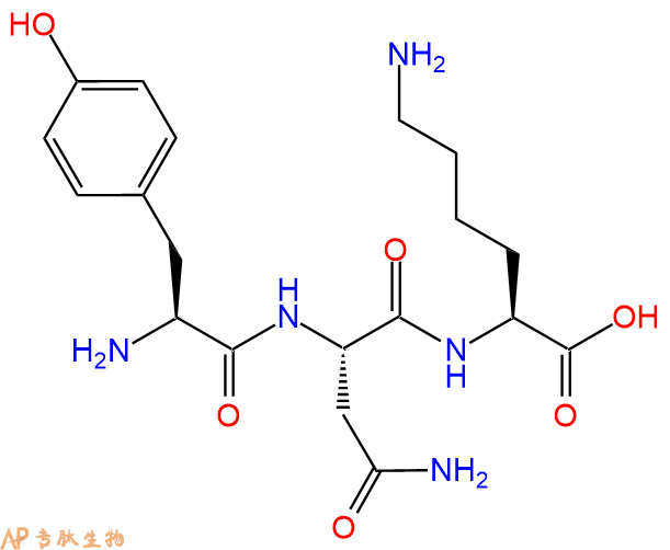 专肽生物产品三肽Tyr-Asn-Lys