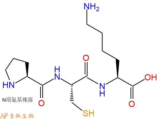 专肽生物产品三肽Pro-Cys-Lys