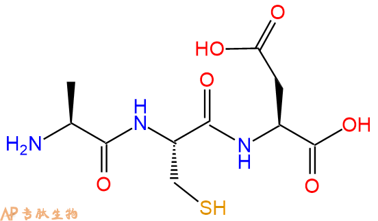 专肽生物产品三肽Ala-Cys-Asp
