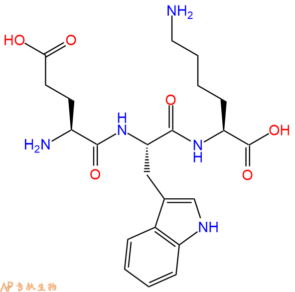 专肽生物产品三肽Glu-Trp-Lys