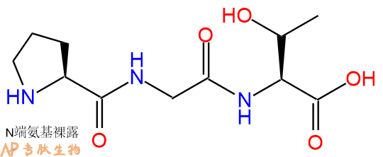 专肽生物产品三肽Pro-Gly-Thr