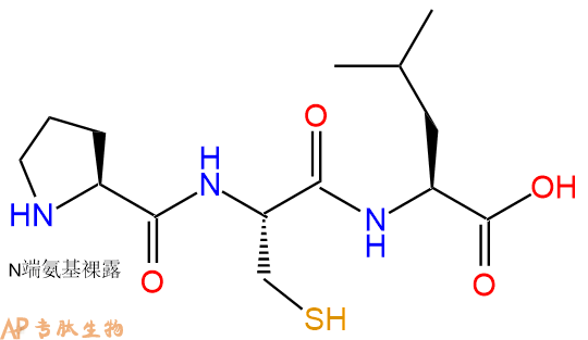 专肽生物产品三肽Pro-Cys-Leu