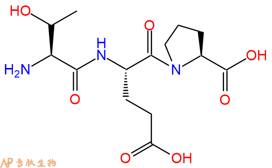 专肽生物产品三肽Thr-Glu-Pro