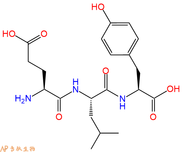 专肽生物产品三肽Glu-Leu-Tyr