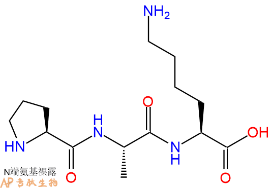 专肽生物产品三肽Pro-Ala-Lys