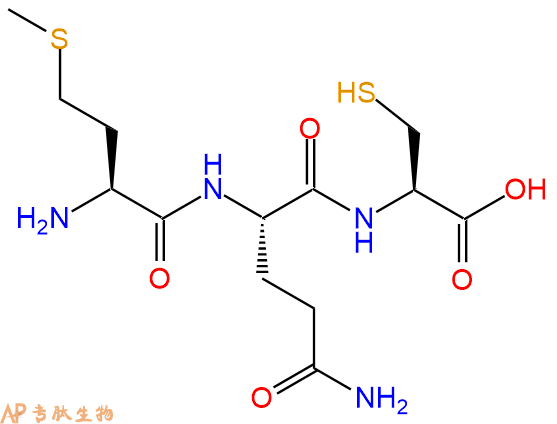 专肽生物产品三肽Met-Gln-Cys
