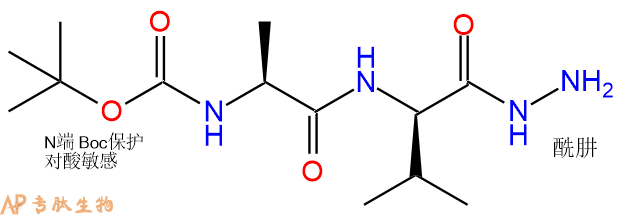 专肽生物产品二肽Boc-Ala-DVal-NH-NH260079-55-2