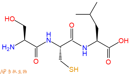 专肽生物产品SC-Leu