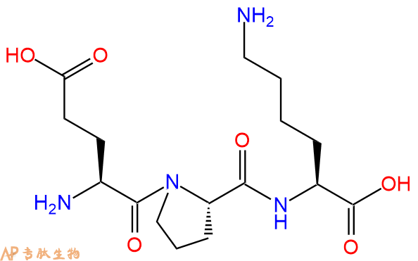 专肽生物产品三肽Glu-Pro-Lys