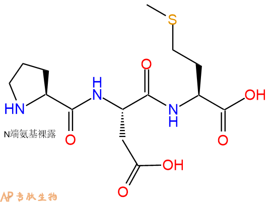 专肽生物产品三肽Pro-Asp-Met