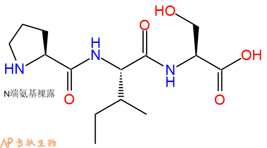 专肽生物产品三肽Pro-Ile-Ser