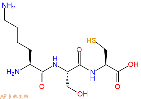 专肽生物产品三肽Lys-Ser-Cys