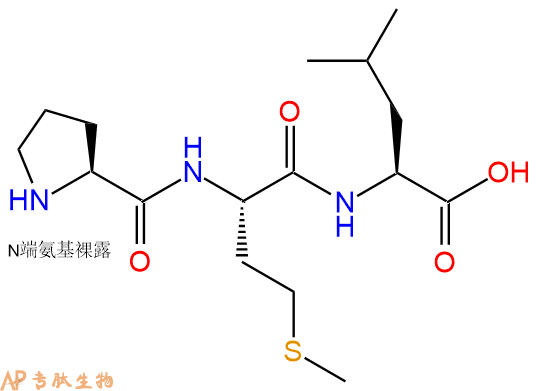 专肽生物产品三肽Pro-Met-Leu