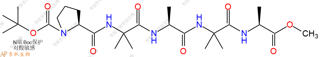 专肽生物产品五肽Boc-Pro-Aib-Ala-Aib-Ala-甲酯化96235-63-1