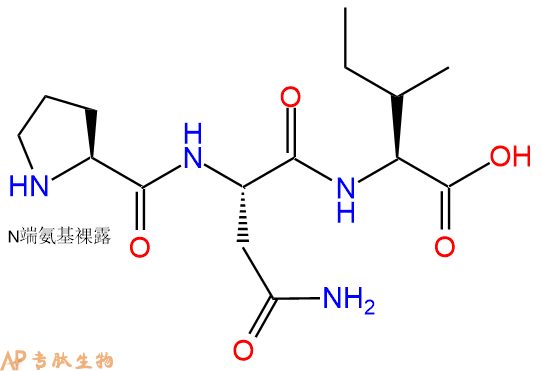 专肽生物产品三肽Pro-Asn-Ile