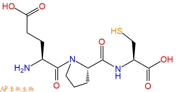 专肽生物产品三肽Glu-Pro-Cys