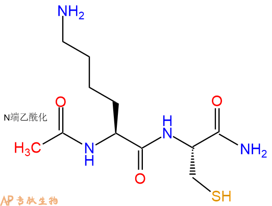 专肽生物产品二肽Ac-Lys-Cys-NH2