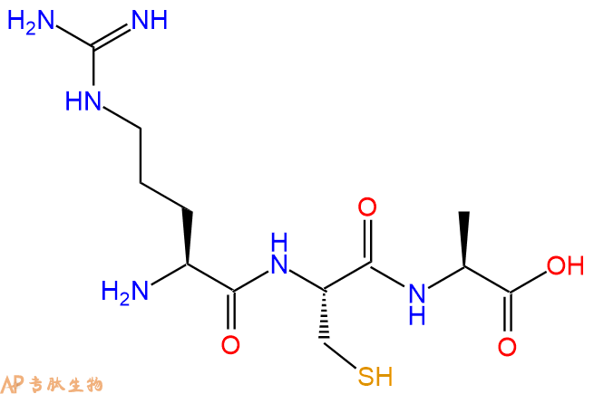 专肽生物产品三肽Arg-Cys-Ala