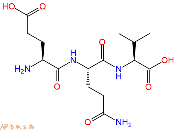 专肽生物产品三肽Glu-Gln-Val