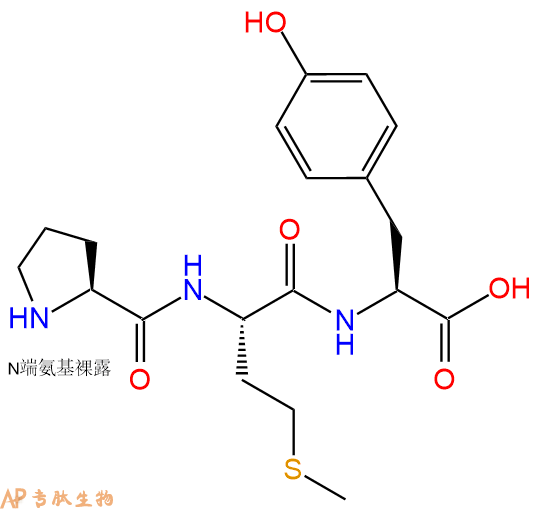 专肽生物产品三肽Pro-Met-Tyr