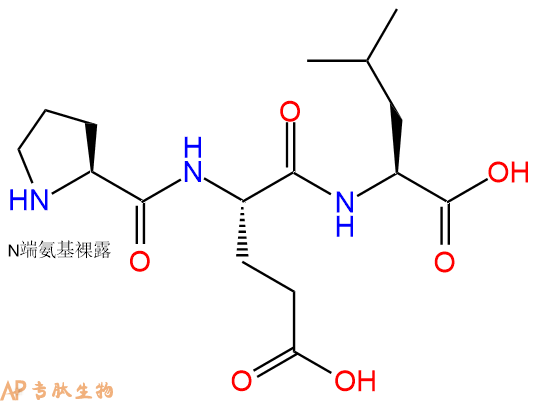 专肽生物产品三肽Pro-Glu-Leu