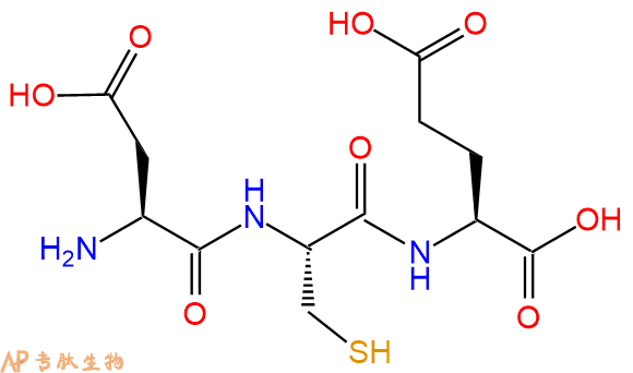 专肽生物产品三肽Asp-Cys-Glu