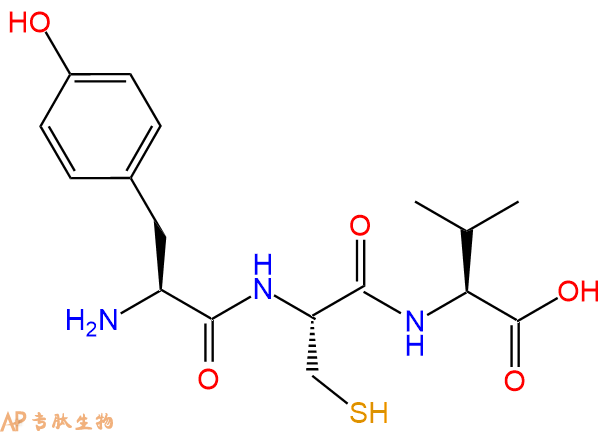专肽生物产品三肽Tyr-Cys-Val