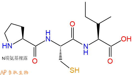 专肽生物产品三肽Pro-Cys-Ile