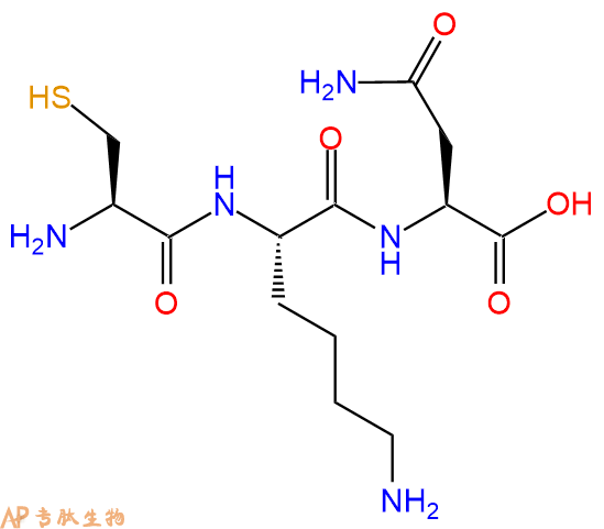 专肽生物产品三肽Cys-Lys-Asn