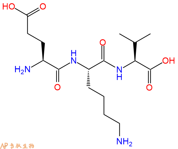专肽生物产品三肽Glu-Lys-Val