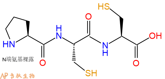 专肽生物产品三肽Pro-Cys-Cys