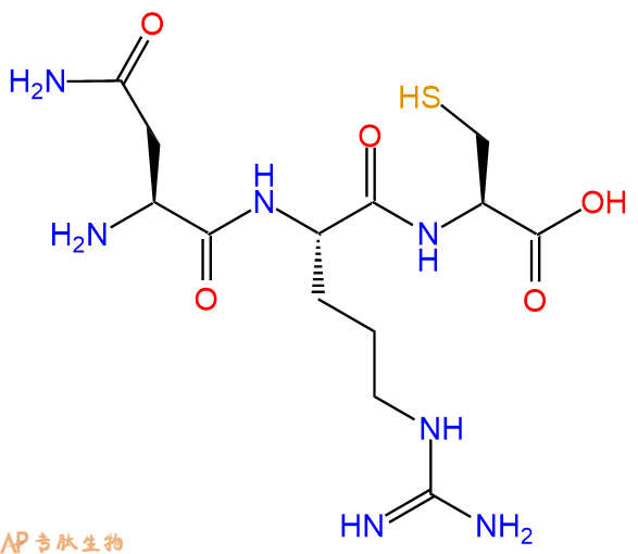 专肽生物产品三肽Asn-Arg-Cys