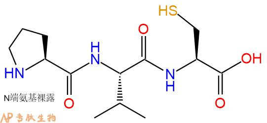 专肽生物产品三肽Pro-Val-Cys